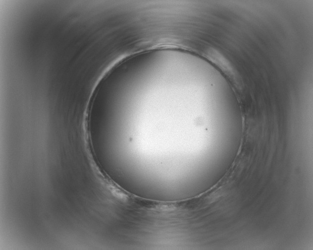 X0000070241190200606161838