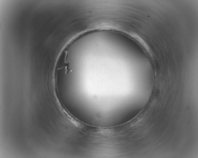 X0000070241191200606161838