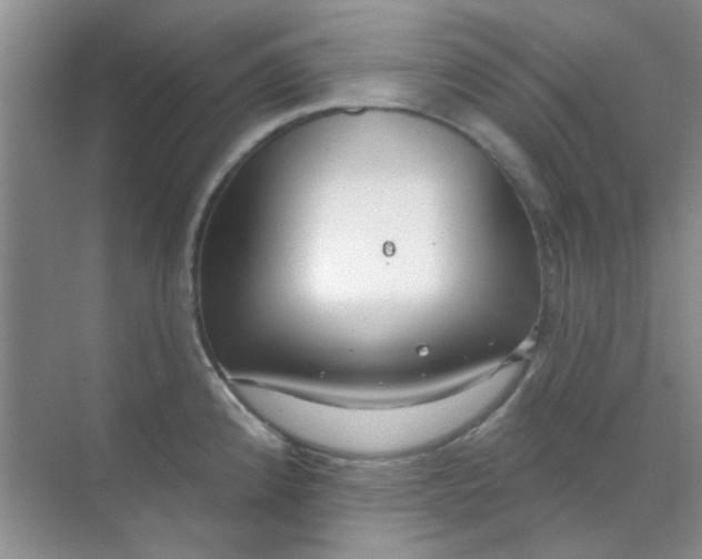 X0000070241192200606161838