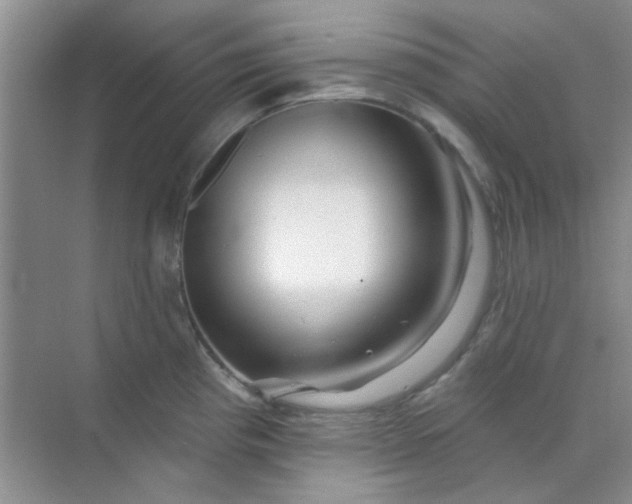 X0000070241193200606161838