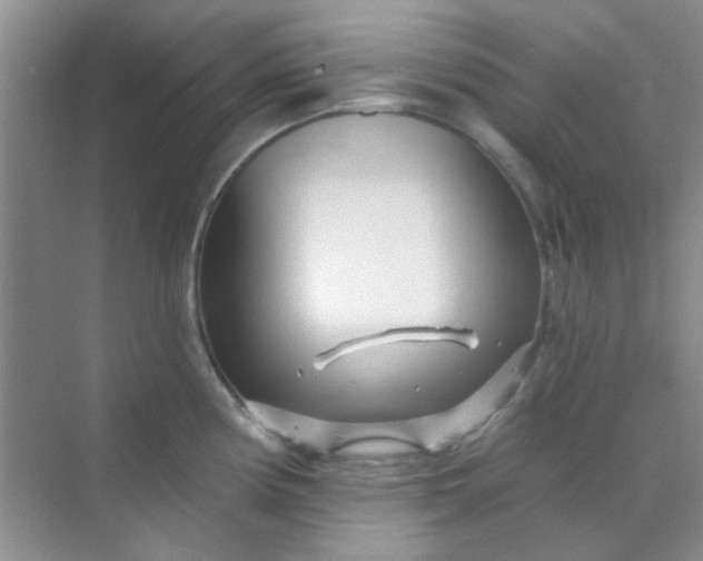 X0000070241194200606161838