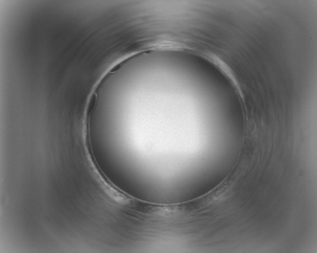 X0000070241195200606161838