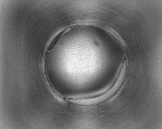 X0000070241196200606161838