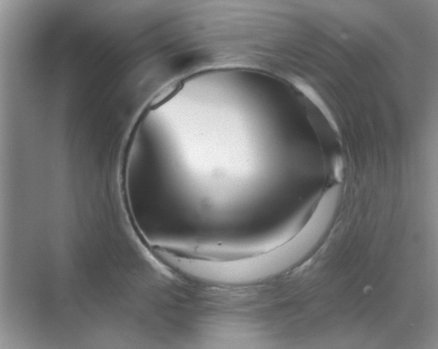 X0000070241197200606161838