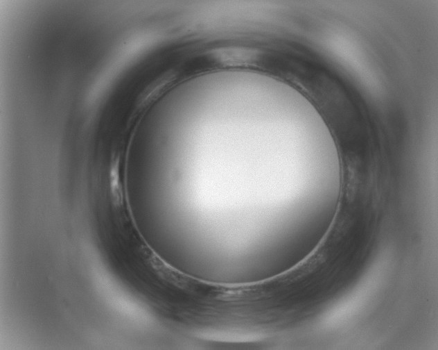 X0000070241198200606161838