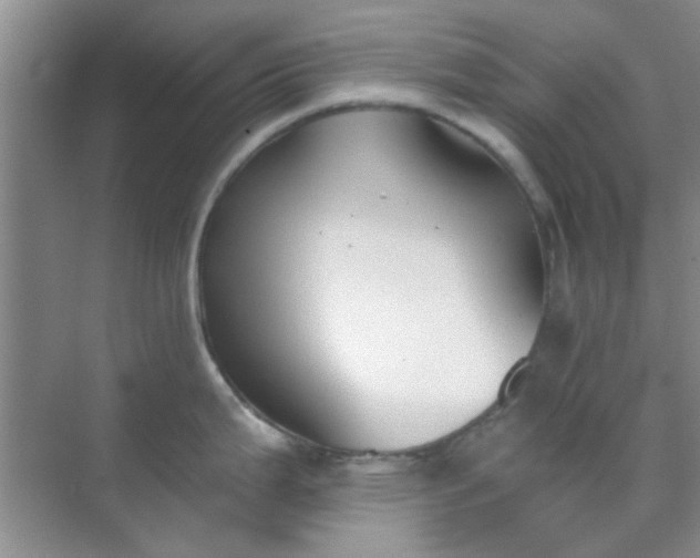 X0000070241199200606161837