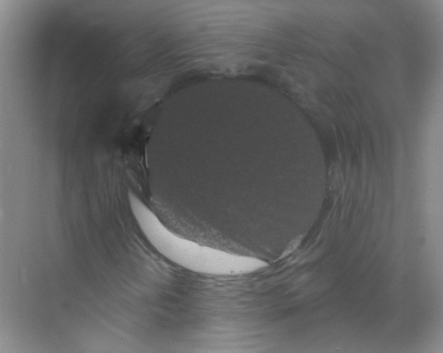 X0000070241202200606161837