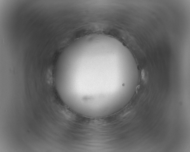 X0000070241203200606161837