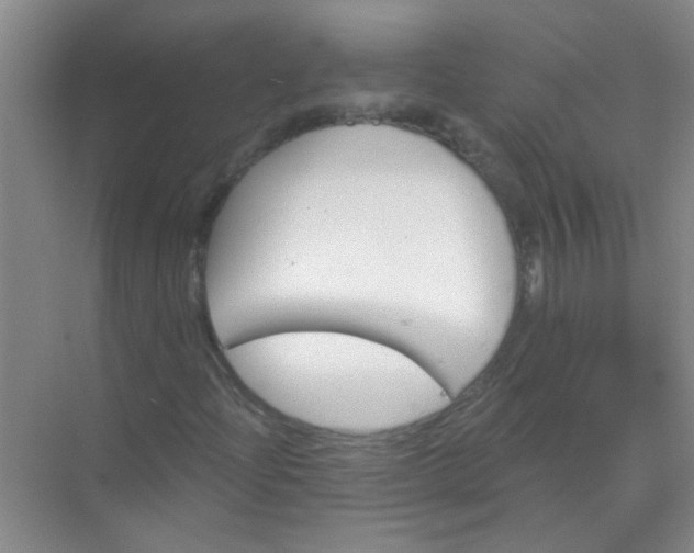 X0000070241204200606161837