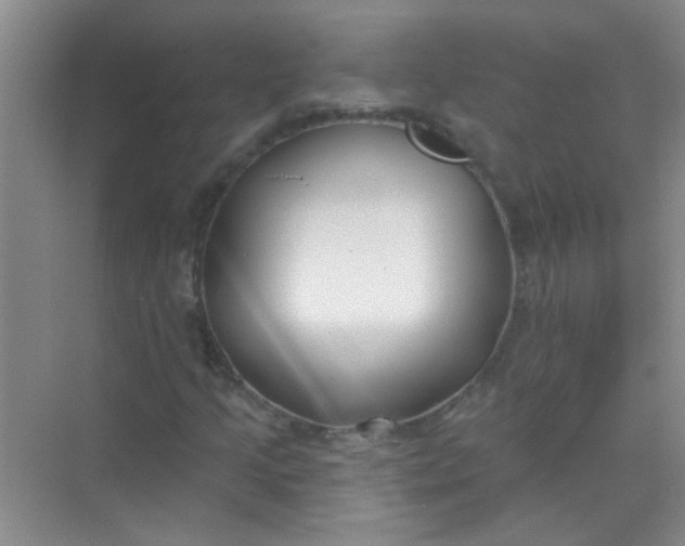 X0000070241205200606161837