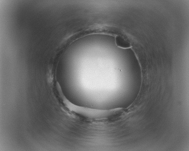 X0000070241206200606161837