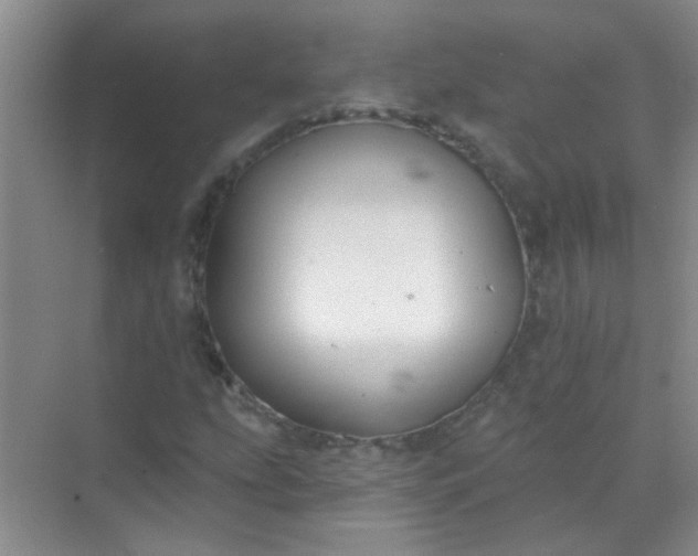 X0000070241207200606161837