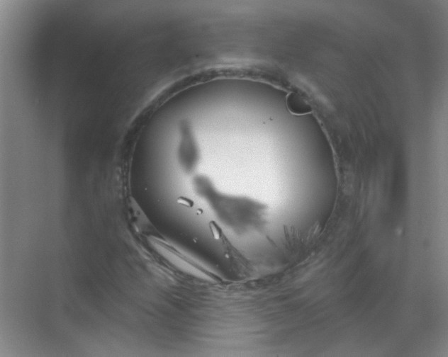 X0000070241208200606161837