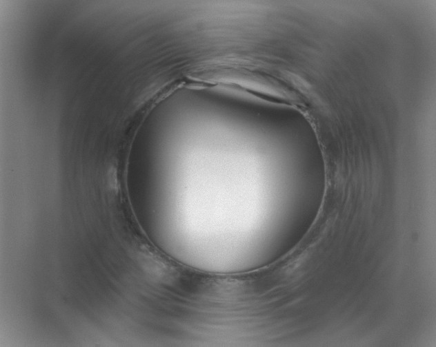 X0000070241209200606161837