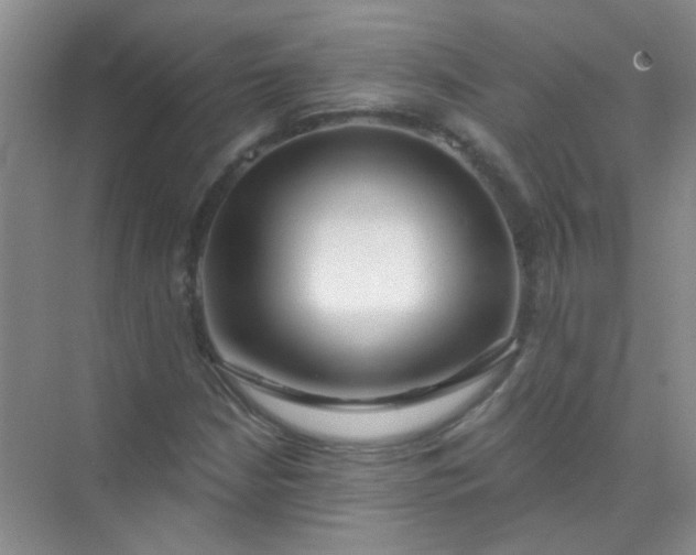 X0000070241210200606161837