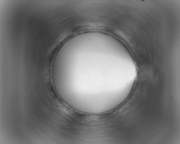 X0000070241211200606161837