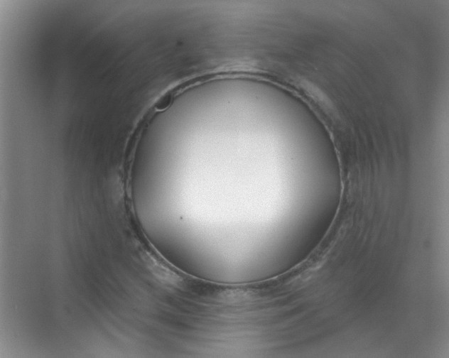 X0000070241212200606161837