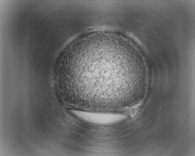 X0000070241213200606161837