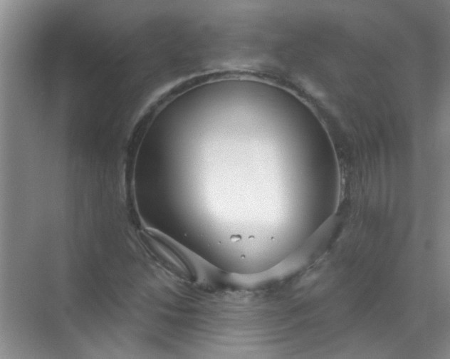 X0000070241214200606161837