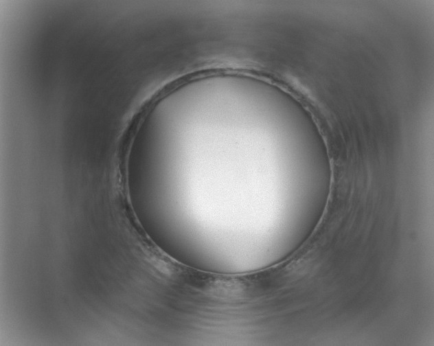 X0000070241215200606161837