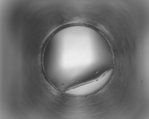 X0000070241216200606161837