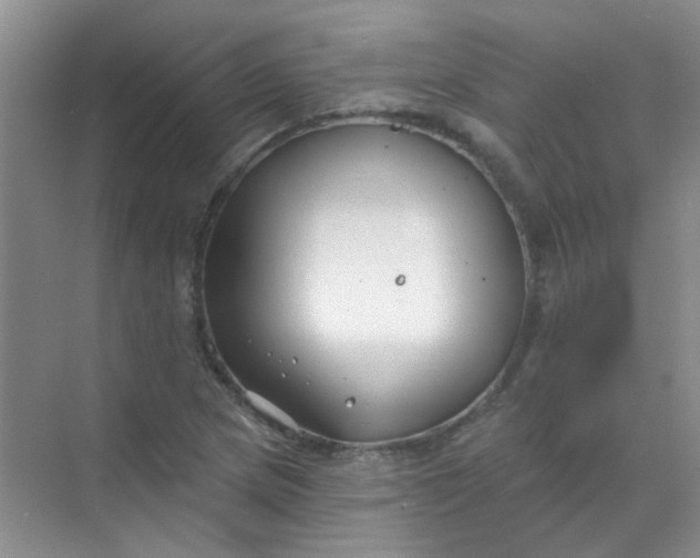 X0000070241217200606161837