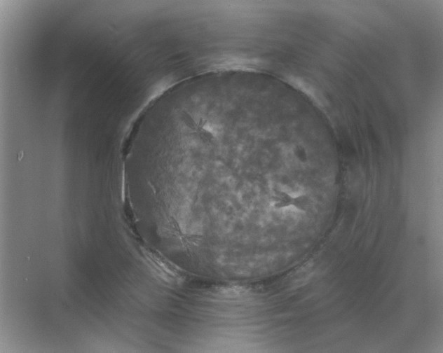 X0000070241219200606161837