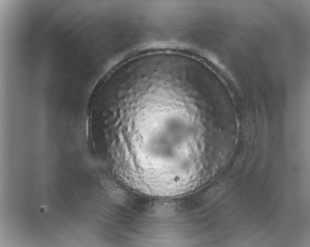 X0000070241221200606161837