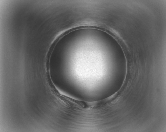 X0000070241222200606161837