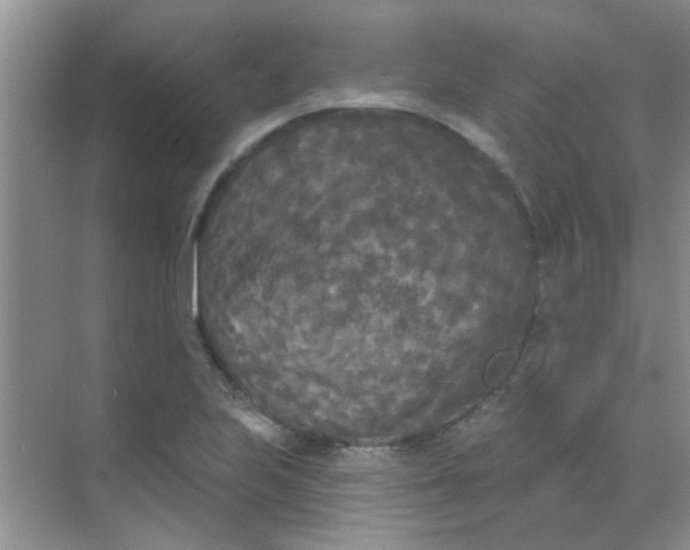 X0000070241223200606161837