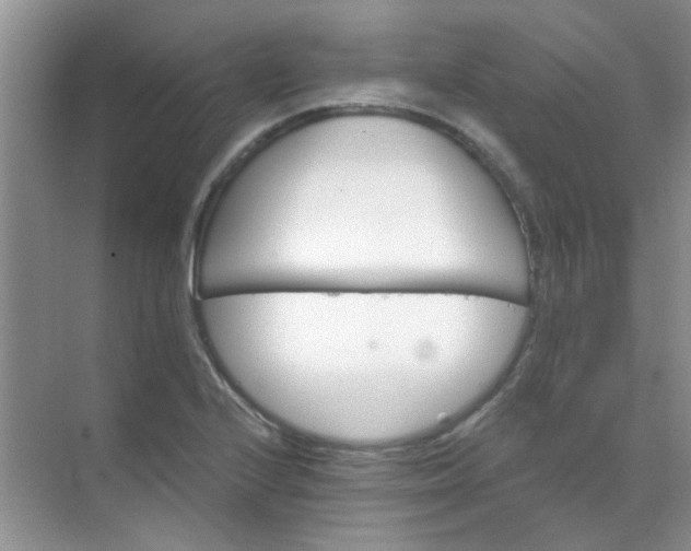 X0000070241224200606161837