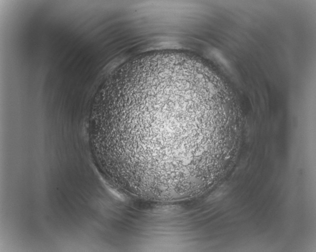 X0000070241225200606161837