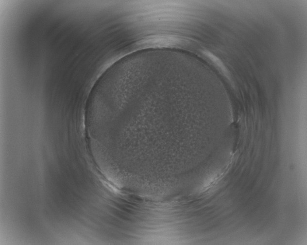 X0000070241226200606161837