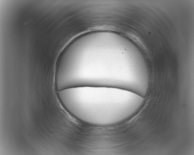 X0000070241228200606161837