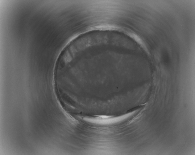 X0000070241229200606161837