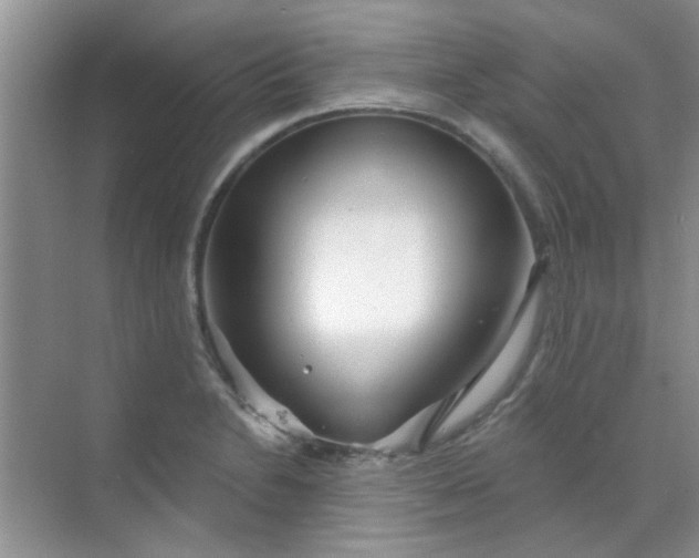 X0000070241230200606161837