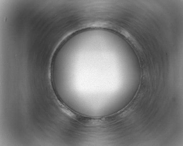 X0000070241232200606161837