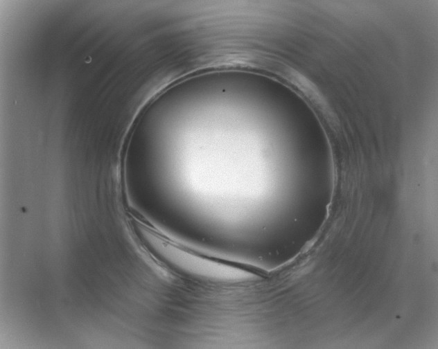 X0000070241234200606161837