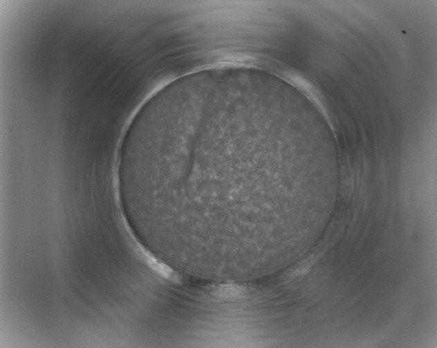 X0000070241235200606161837