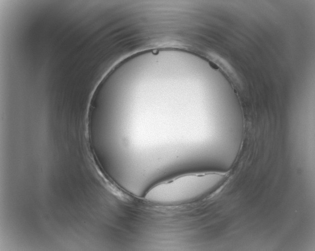 X0000070241236200606161837