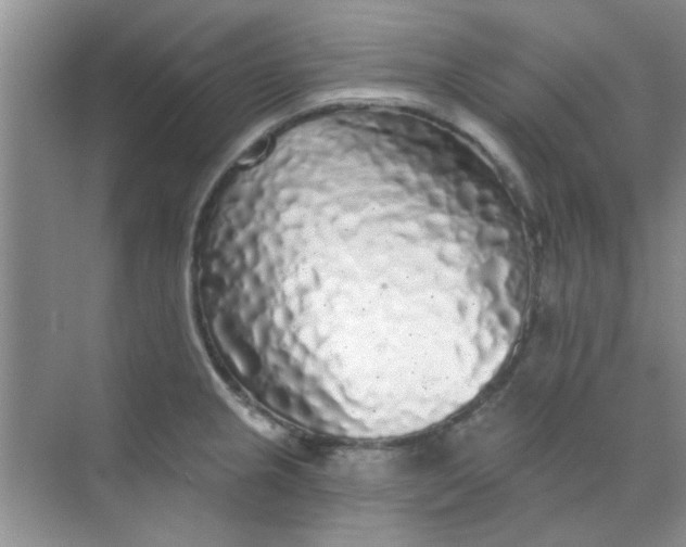 X0000070241237200606161837