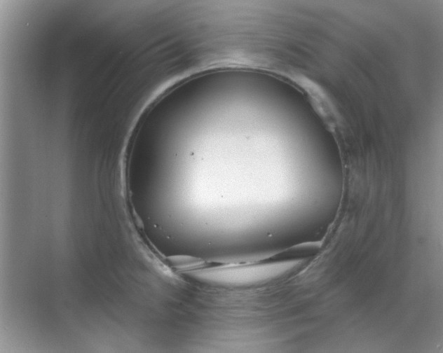 X0000070241238200606161837