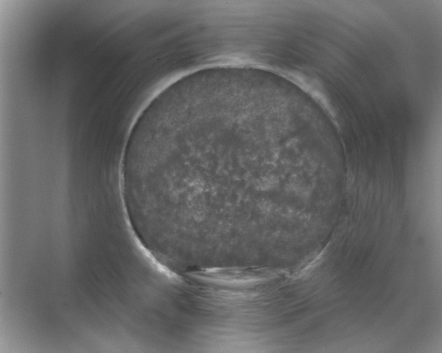 X0000070241239200606161837