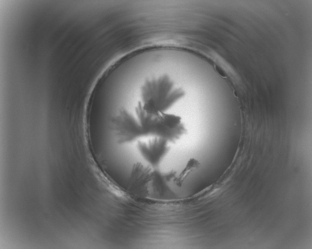 X0000070241240200606161837