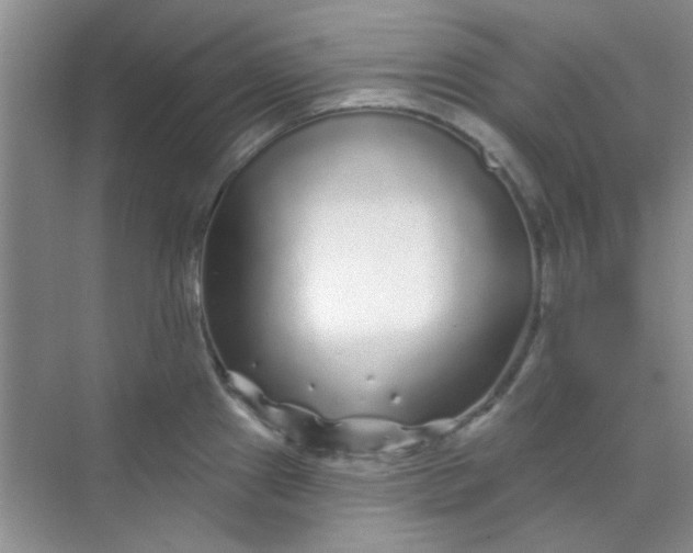 X0000070241241200606161837