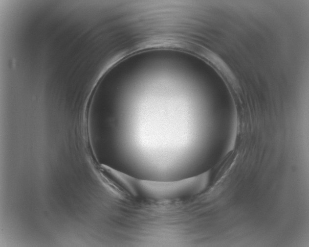 X0000070241242200606161837