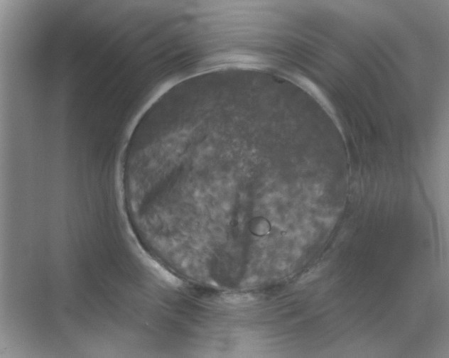 X0000070241243200606161837