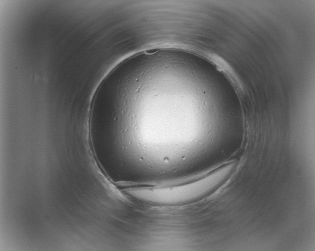 X0000070241244200606161837