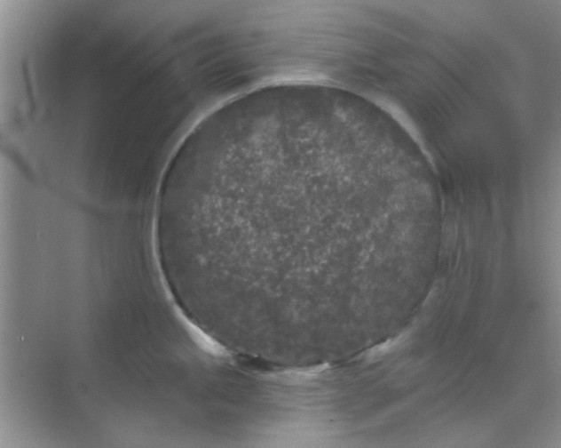 X0000070241245200606161837