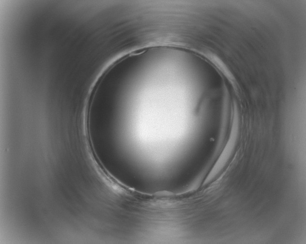 X0000070241246200606161837